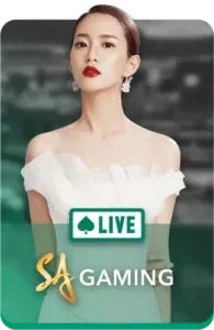 imgi_26_sa-ezcasino-195x300-1